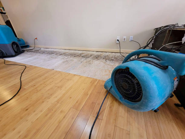 Professional Burst Pipe Water Damage technician working in Casselberry, FL